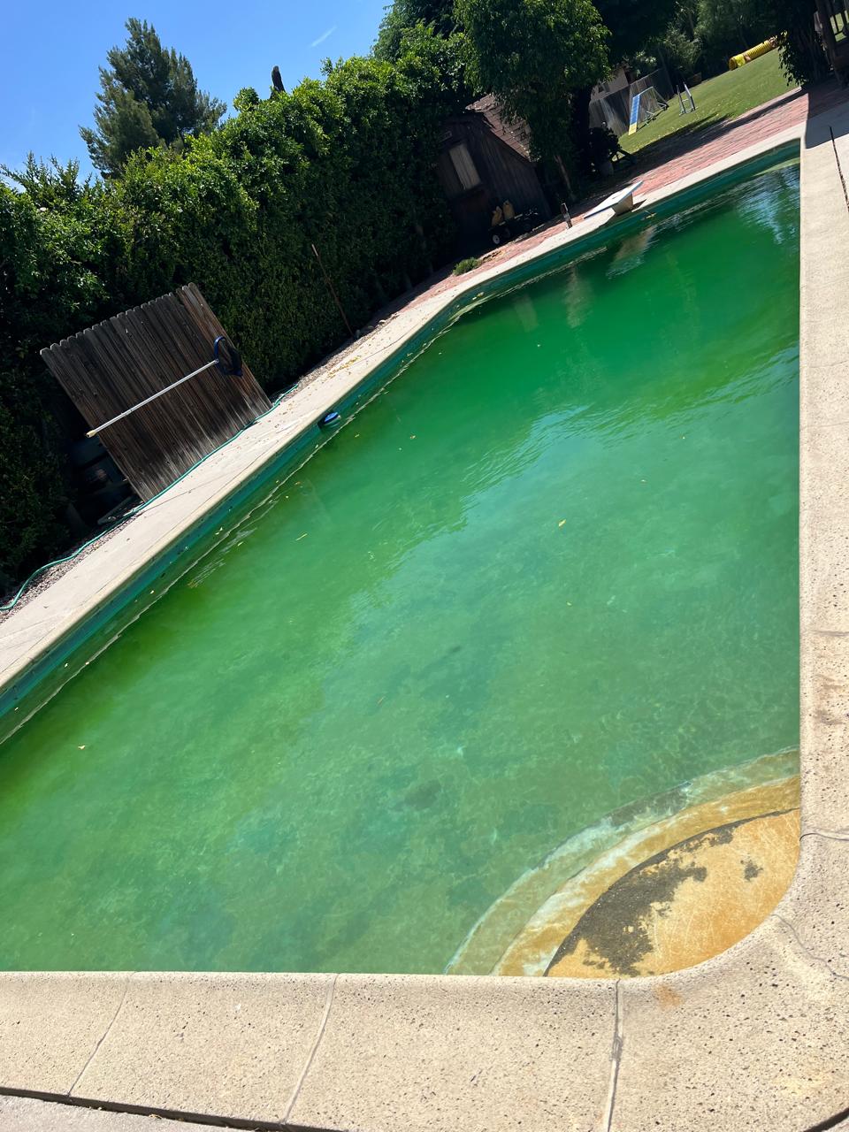 A residential swimming pool with green algae-clouded water before a KLUG Pool Services cleanup in Los Angeles County